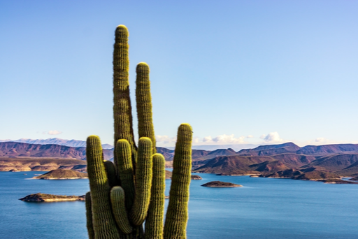 Lake Pleasant Boat Rentals